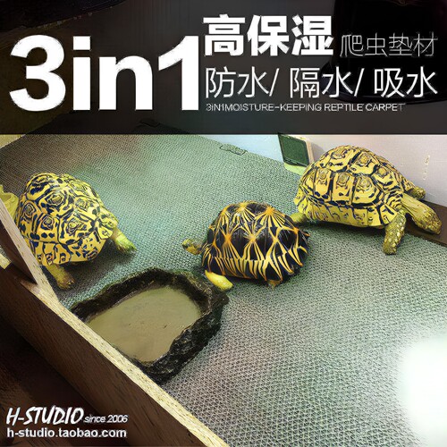 三合一龟箱爬虫宠垫材 网格隔水地垫透明PVC干爽保湿加湿地毯包邮