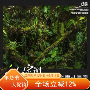 DH可定制 原生态造景热带雨林植物景观定做水陆缸雨林风家居设计