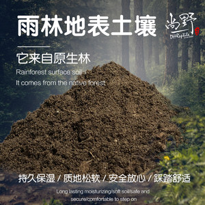 爬宠土壤垫料雨林地表降解生态