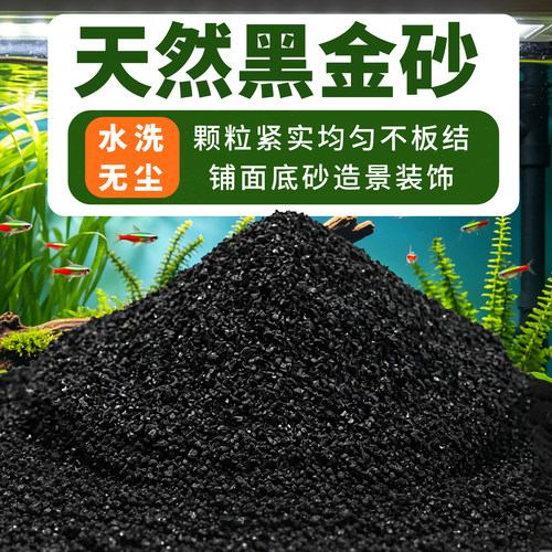 黑金砂河沙子颗粒紧实铺面底砂营养土天然透气多肉专用通用型造景