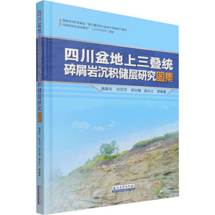 四川盆地上三叠统碎屑岩沉积储层研究图集 施振生 等 编 自然科学总论专业科技 新华书店正版图书籍 石油工业出版社