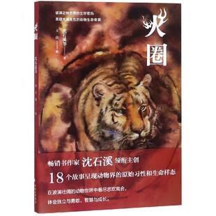 火圈 沈石溪等著 著 王佳 绘 短篇小说集/故事集少儿 新华书店正版图书籍 上海东方出版中心