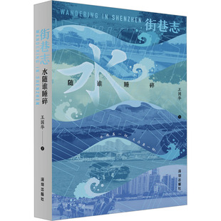 街巷志 水随谁睡碎 王国华 著 文学作品集文学 新华书店正版图书籍 海天出版社