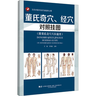 董氏奇穴、经穴对照挂图(附董氏奇穴穴位速查) 王敏,王伟鉴 编 中医生活 新华书店正版图书籍 辽宁科学技术出版社