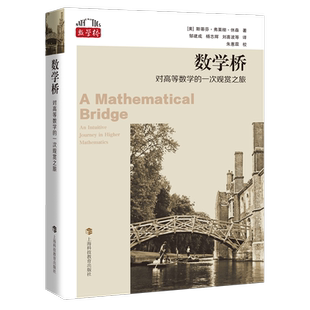 数学桥 对高等数学的一次观赏之旅 (美)斯蒂芬·弗莱彻·休森 著 邹建成 等 译 数学文教 新华书店正版图书籍 上海科技教育出版社