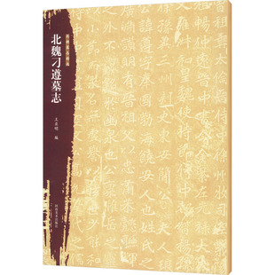 北朝墓志精选 北魏刁遵墓志 王亚明 编 书法/篆刻/字帖书籍艺术 新华书店正版图书籍 河南美术出版社