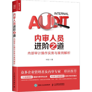内审人员进阶之道:内部审计操作实务与案例解析 牛恺 著 著 统计 审计经管、励志 新华书店正版图书籍 人民邮电出版社