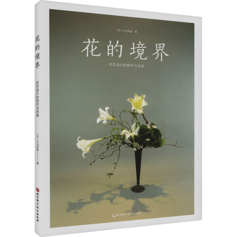 新华书店正版 艺术设计