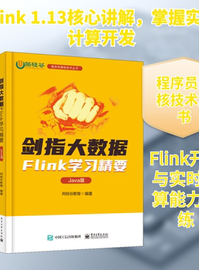 剑指大数据 Flink学习精要 Java版 尚硅谷教育 编 网络通信（新）专业科技 新华书店正版图书籍 电子工业出版社