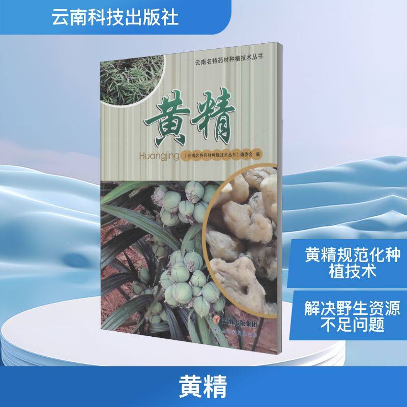 黄精 《云南名特药材种植技术丛书》编委会 编 农业基础科学专业科技 新华书店正版图书籍 云南科技出版社