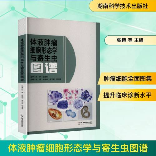 新华书店正版 外科