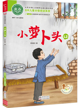 小萝卜头 适合7至8岁孩子阅读的儿童文学作品 红色儿童经典文学著作 小萝卜头宋振中在监狱中坚强地生活和成长的故事 海豚出版社
