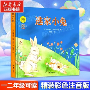 逃家小兔 彩色注音版 (美)玛格丽特·怀兹·布朗 著 任艳红 译 绘本/图画书/少儿动漫书少儿 新华书店正版图书籍 团结出版社