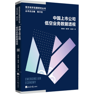 中国上市公司低空业务数据透视 郭辰阳,郭芳翠,吕宜宏 著 著 各部门经济经管、励志 新华书店正版图书籍 经济日报出版社