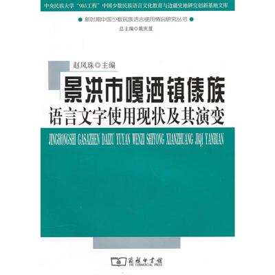 景洪市嘎洒镇傣族语言文字使用现状及其演变 赵凤珠主编 著 著 语言文字文教 新华书店正版图书籍 商务印书馆