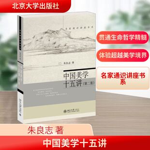 中国美学十五讲 第二版 朱良志 体验万物通于天地 融自我和万物为一体 从而获得灵魂的适意  生命安顿之学 北京大学出版社