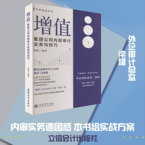 新华书店正版 审计