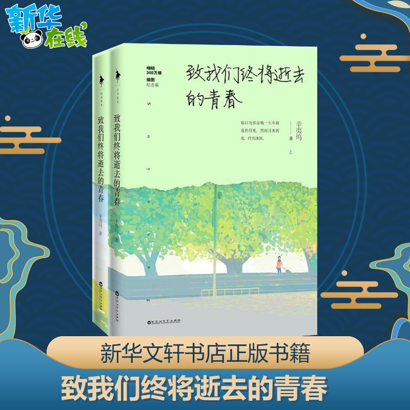 【新华书店正版】 致我们终将逝去的青春(插图纪念版) 辛夷坞 言情类