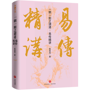 一阴一阳之谓道:易传精讲 张其成 著 中国文化/民俗社科 新华书店正版图书籍 天地出版社