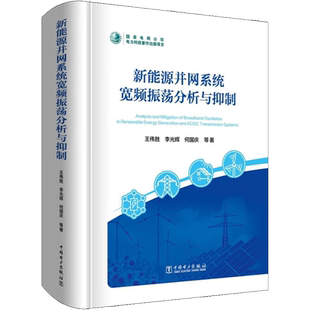 新能源并网系统宽频振荡分析与抑制 王伟胜 新能源并网稳定运行的理论基础和实践方法 中国电力出版社