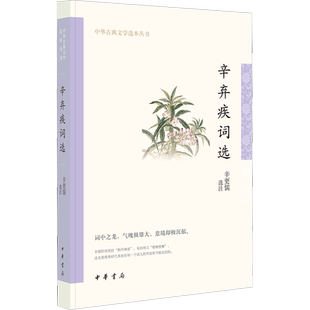 辛弃疾词选 辛更儒 中国古诗词文学 新华书店正版图书籍 中华书局