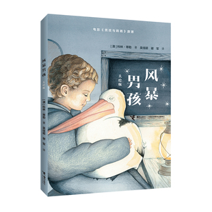 译 美绘版 吴佳颖 风暴男孩 儿童文学少儿 接力出版 科林·蒂勒 图书籍 澳 社 著 新华书店正版 谢军