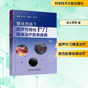 整体思路下超声可视化针刀精准治疗肌骨疾病（中册） 宓士军,郭瑞君,郭长青 主编 编 影像医学生活 新华书店正版图书籍