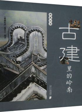 古建里的岭南 《雅藏岭南》编委会 编 中国文化/民俗专业科技 新华书店正版图书籍 南方日报出版社