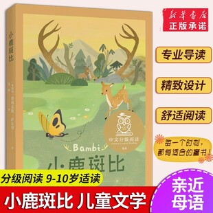 小鹿斑比 一只小鹿的成长故事 班比和森林里的同伴一起经历季节更替生存磨难 在老鹿王的锻炼下班比成了下一代鹿王 山东画报出版社