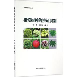 相似树种的辨证识别 高杰,高椿翔 编著 建筑/水利(新)专业科技 新华书店正版图书籍 中国林业出版社