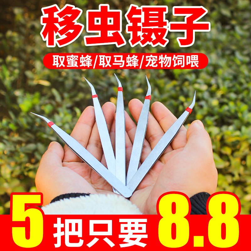 移虫育王针不锈钢弯头移虫镊子养蜂工具蜜蜂移幼虫卵专用养蜂用品