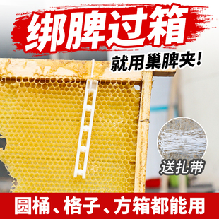 蜜蜂巢脾夹中蜂导础夹子过箱绑脾条圆桶土养蜂箱专用固定蜂脾工具