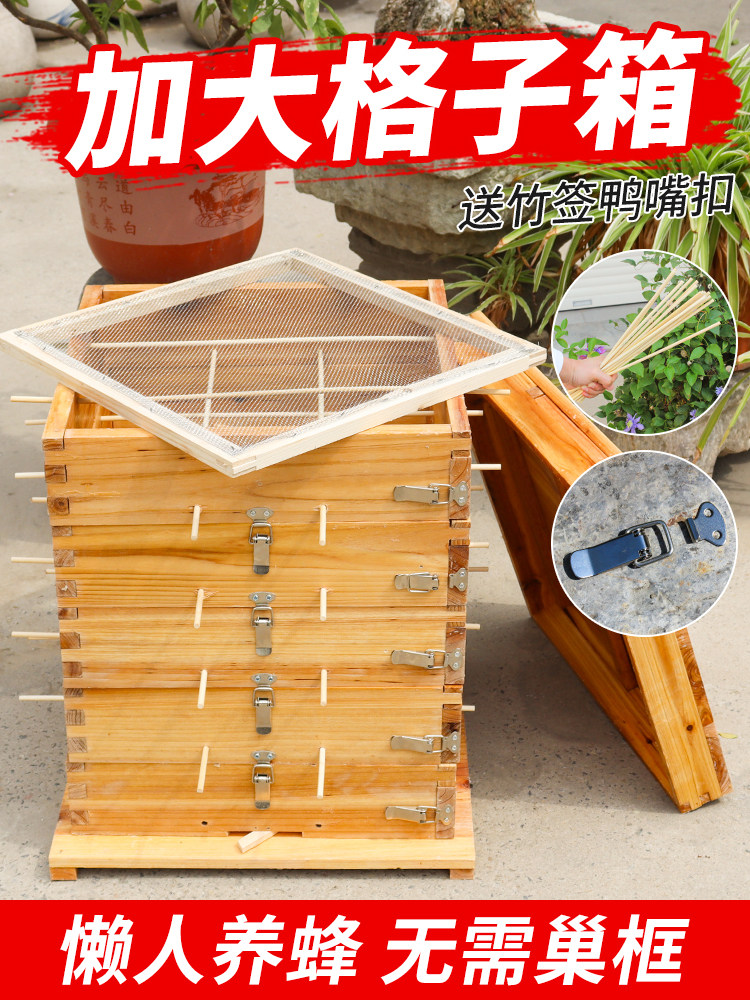 加大格子箱中蜂蜂箱全套加厚杉木土蜂蜂箱5层带观察窗蜂大哥养蜂