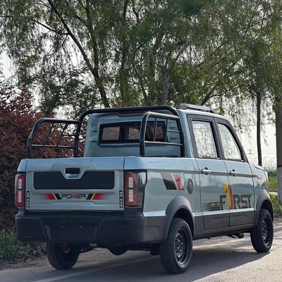 老头乐油电两用电动皮卡四轮代步汽车双排四座新能源家用带斗拉货