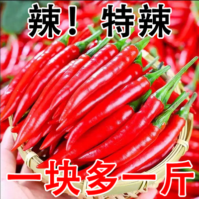 小米辣椒新鲜批发小米椒红辣椒朝天椒特辣指天椒超辣小米辣云南9