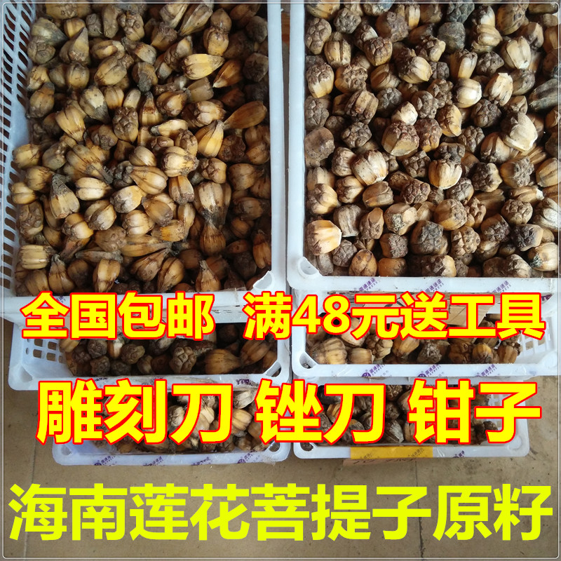海南鸿善缘 滴血莲花干籽原籽 精品野菠萝莲花菩提子手串原料产地