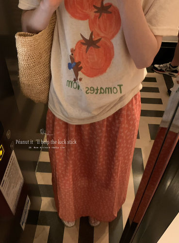 peanut花生家夏新款韩版南法度假篇百搭碎花半身裙11199