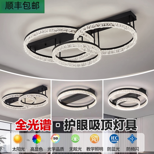 意式极简轻奢高级感客厅主灯简约现代大气圆环客厅吸顶灯中山灯具