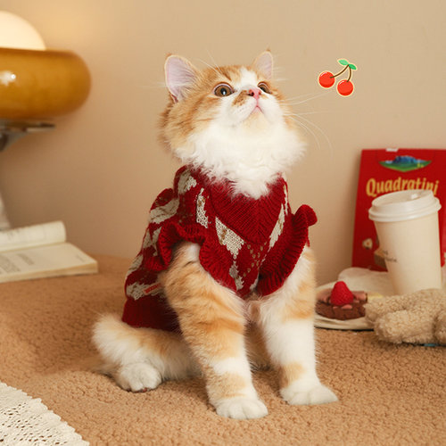 冬款小猫防掉毛樱桃毛衣