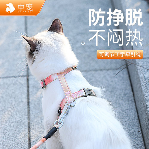猫咪牵引绳胸背带外出