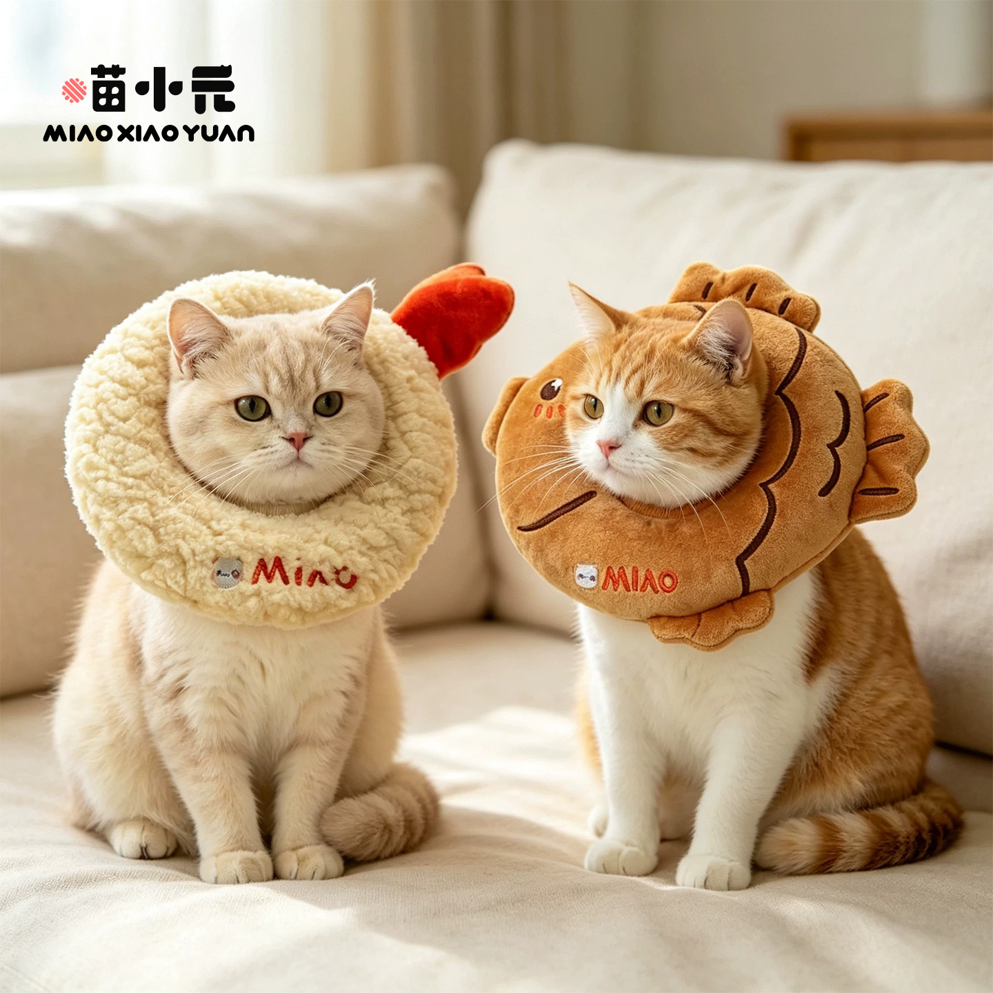 绝育期也能正常干饭行走小枕头
