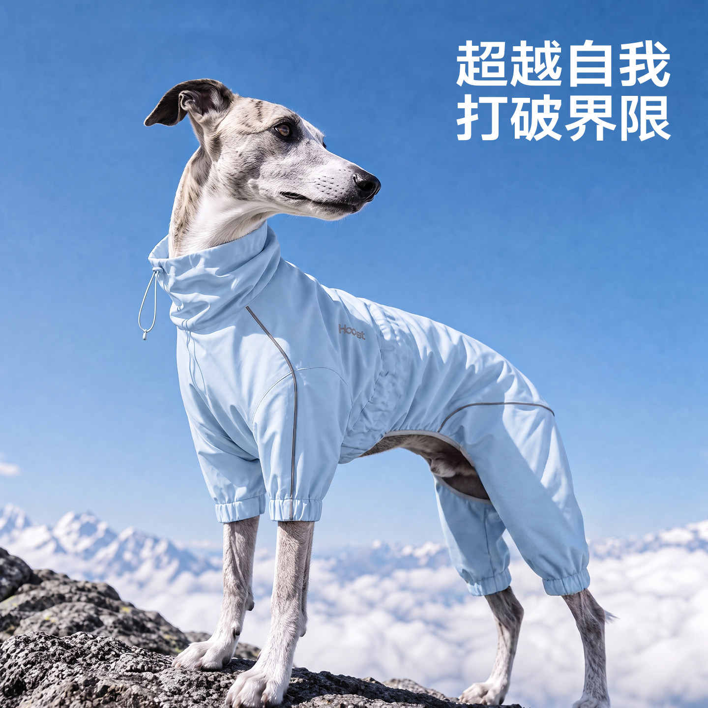 Hoopet中大型犬全压胶冲锋衣