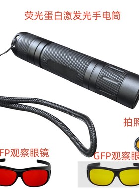 实验测试RFP红色荧光蛋白激发光源手电筒532nm光源DsRed dTomato