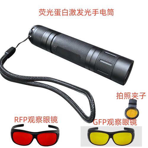 FIM实验测试488NM激发光手电筒荧光蛋白激发光GFP绿色荧光532nm
