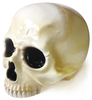 骸头骨 1/1 SKULL HEAD - VINTAGE secretbase 日本制 sofubi|ru
