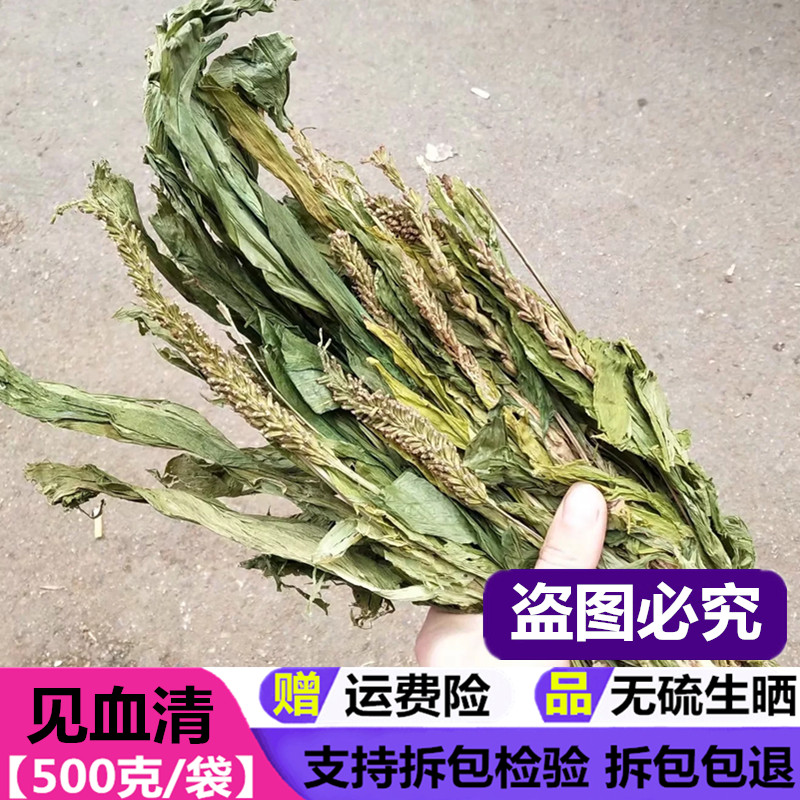 中药材见血清 云南 整棵 干货 见血青 立地好 羊耳蒜新货500g包邮
