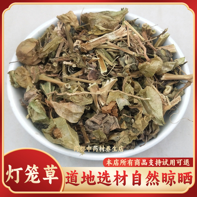 野生中药材灯笼草500克新鲜干货