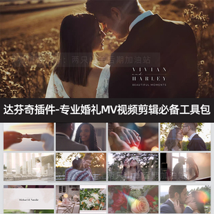 达芬奇插件-专业婚礼MV视频剪辑必备工具包文字标题/转场/LUT预设