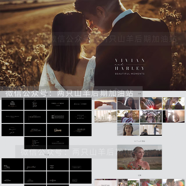 FCPX中文插件-婚礼视频剪辑必备工具包文字标题转场LUT调色预设
