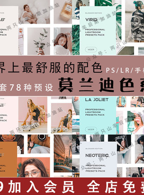 PS调色预设莫兰迪灰色调LR预设1手机LR预设ACR预设高级灰